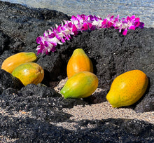 Load image into Gallery viewer, Papaya Gift Box