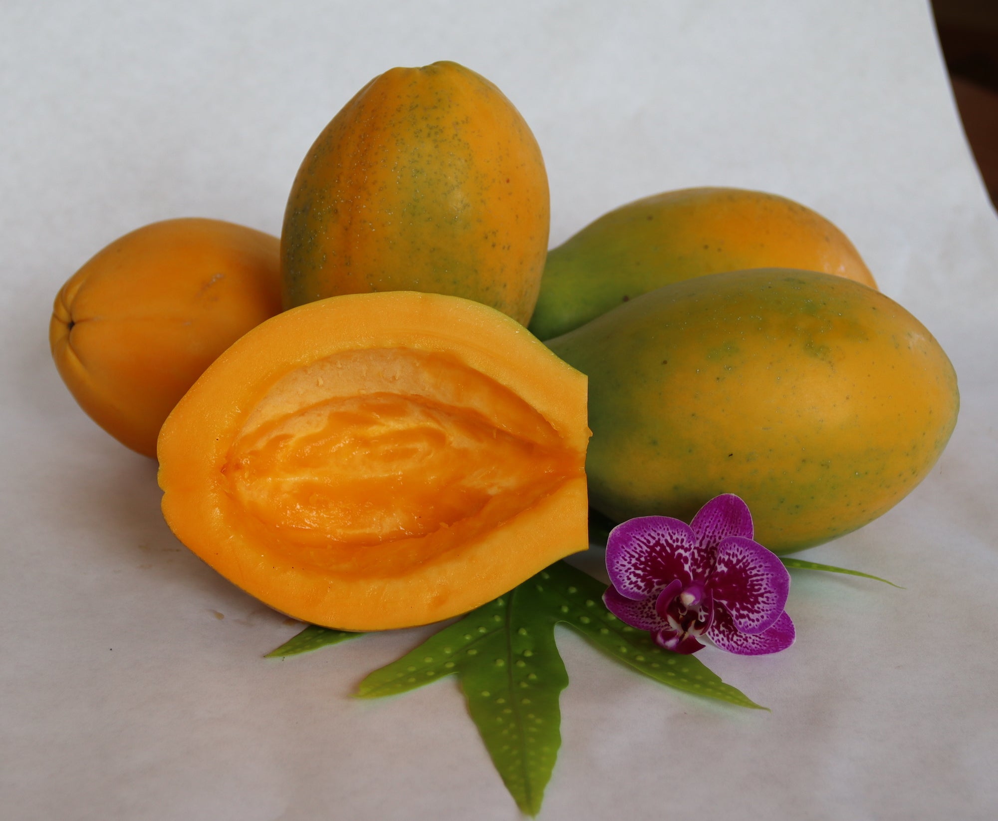 When is my papaya ready to eat? Hawaii Papaya Direct