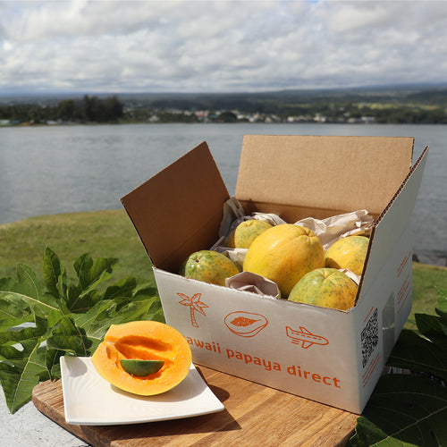 Hawaii Papaya Get Well Fresh Fruit Box