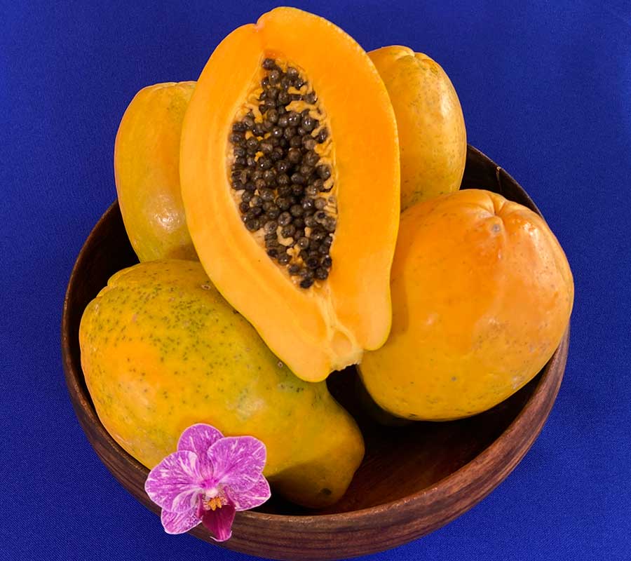 5 Tree Ripened Papaya from Hawaii